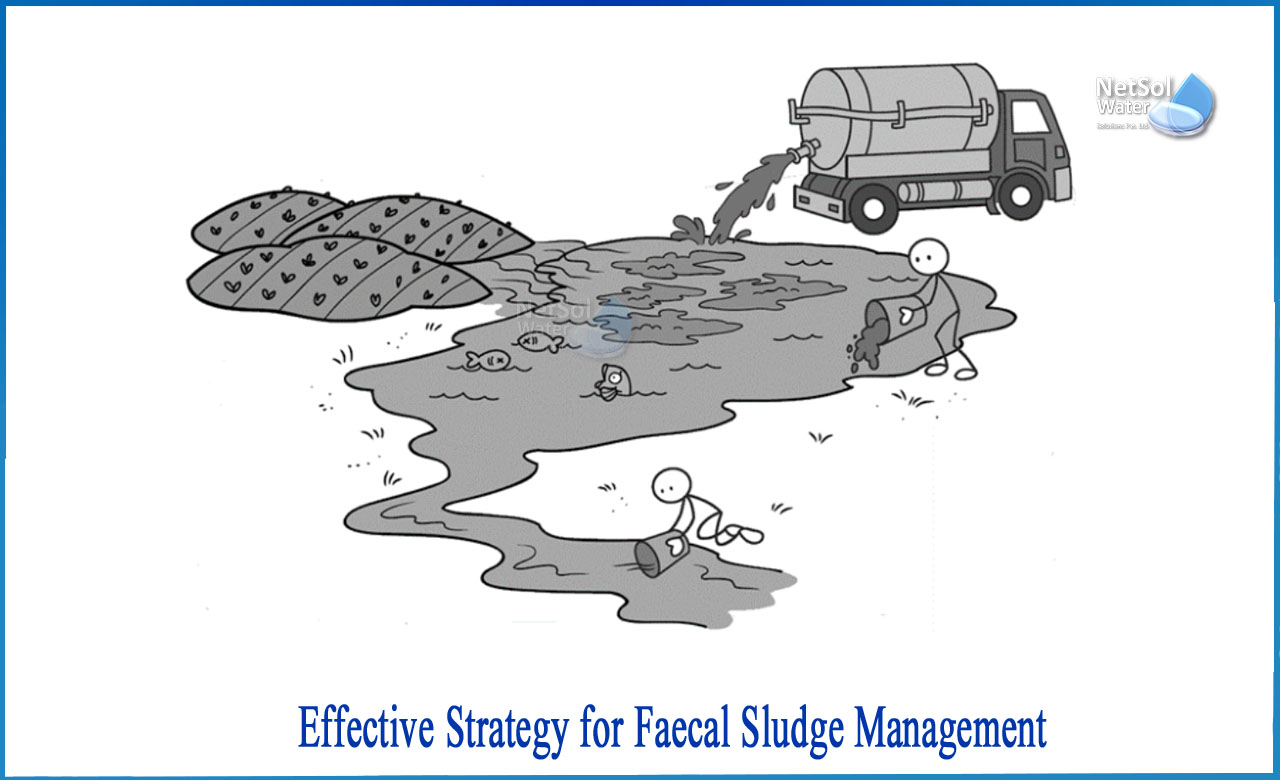 faecal sludge management in india, importance of faecal sludge management, faecal sludge management meaning in hindi